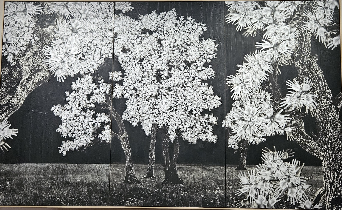 L’arbre aux 10 000 mains de JR est au Carré Sainte-Anne à Montpellier