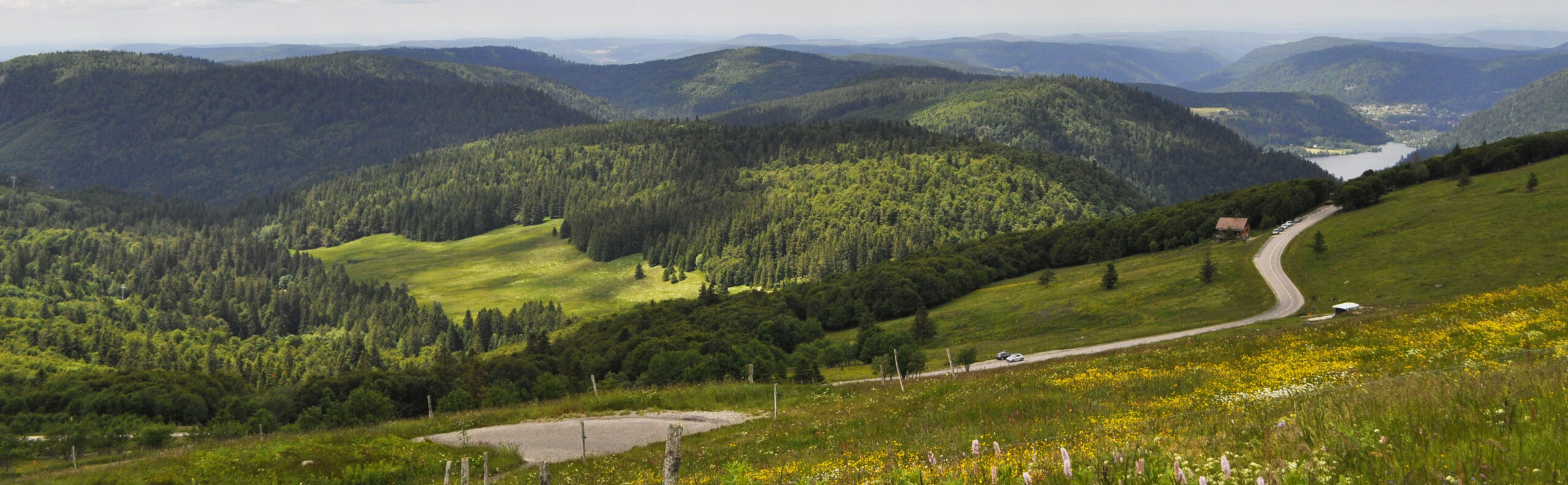 Vosges: cap à l’est