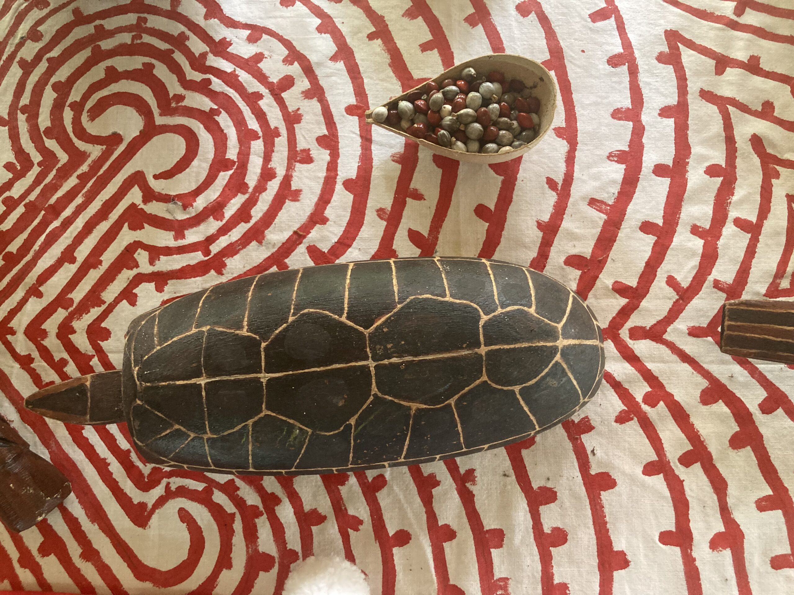 La Guyane en dix jours/ suite