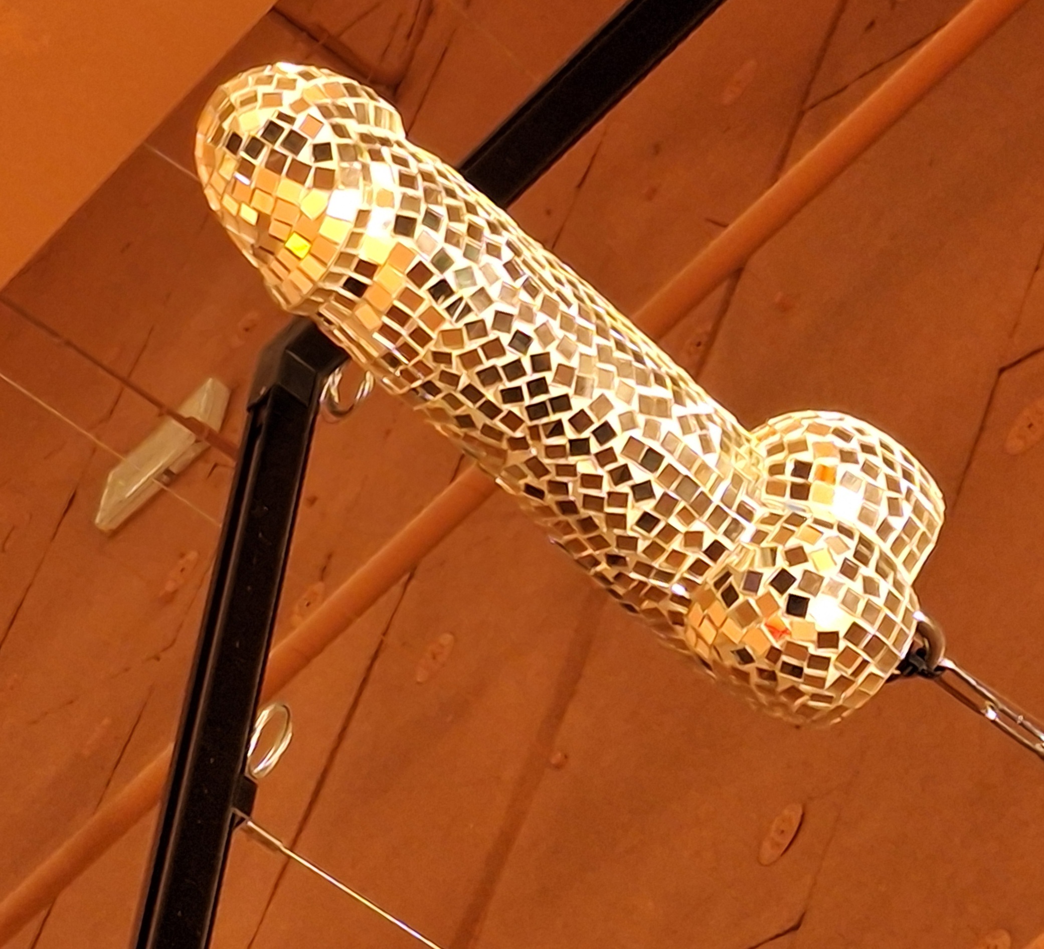 A Reykjavík, un musée qui a de la gaule